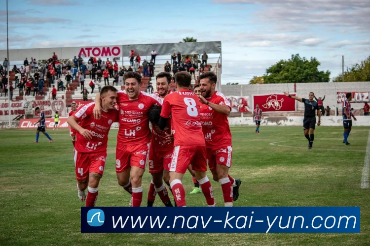 开云平台生态图